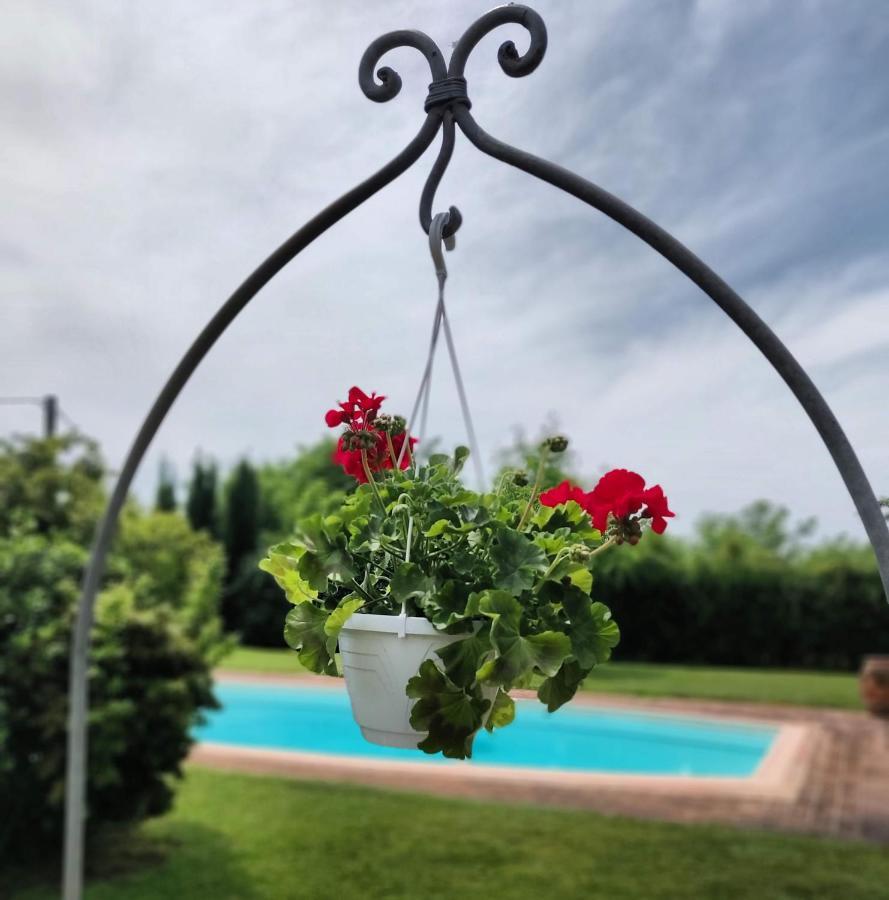 B&B Il Casolare Di Bonci Santa Maria a Monte Екстериор снимка
